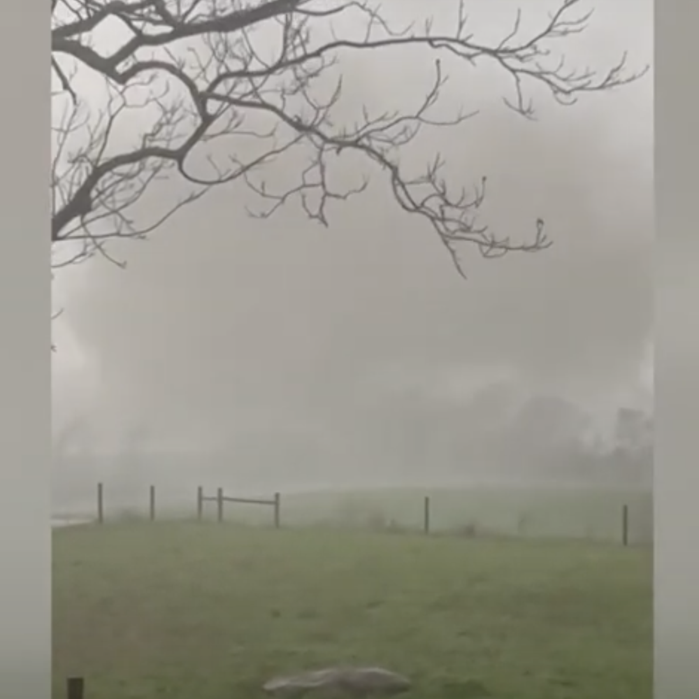 gordo tornado Alabama News