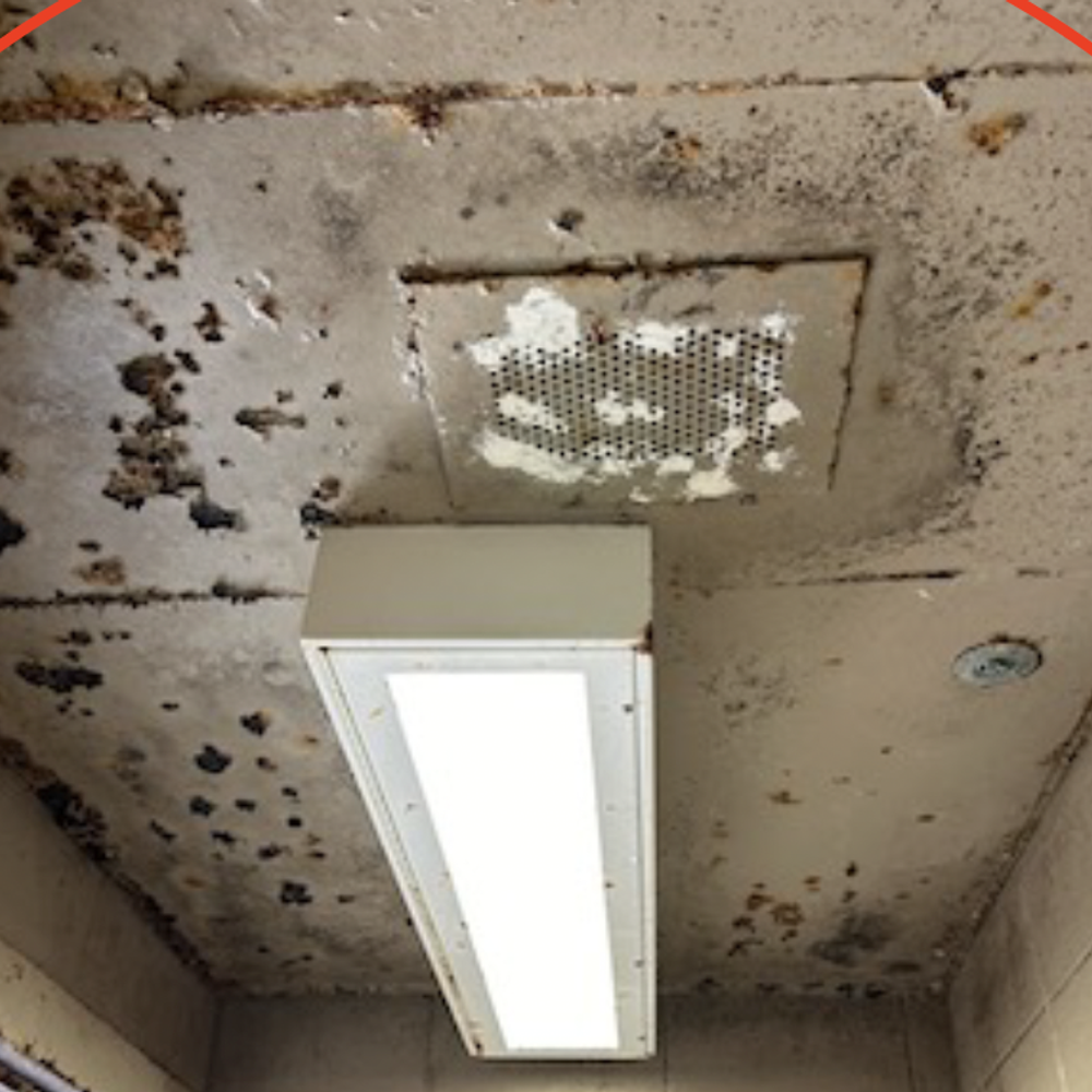 Autauga County Jail mold. Alabama News