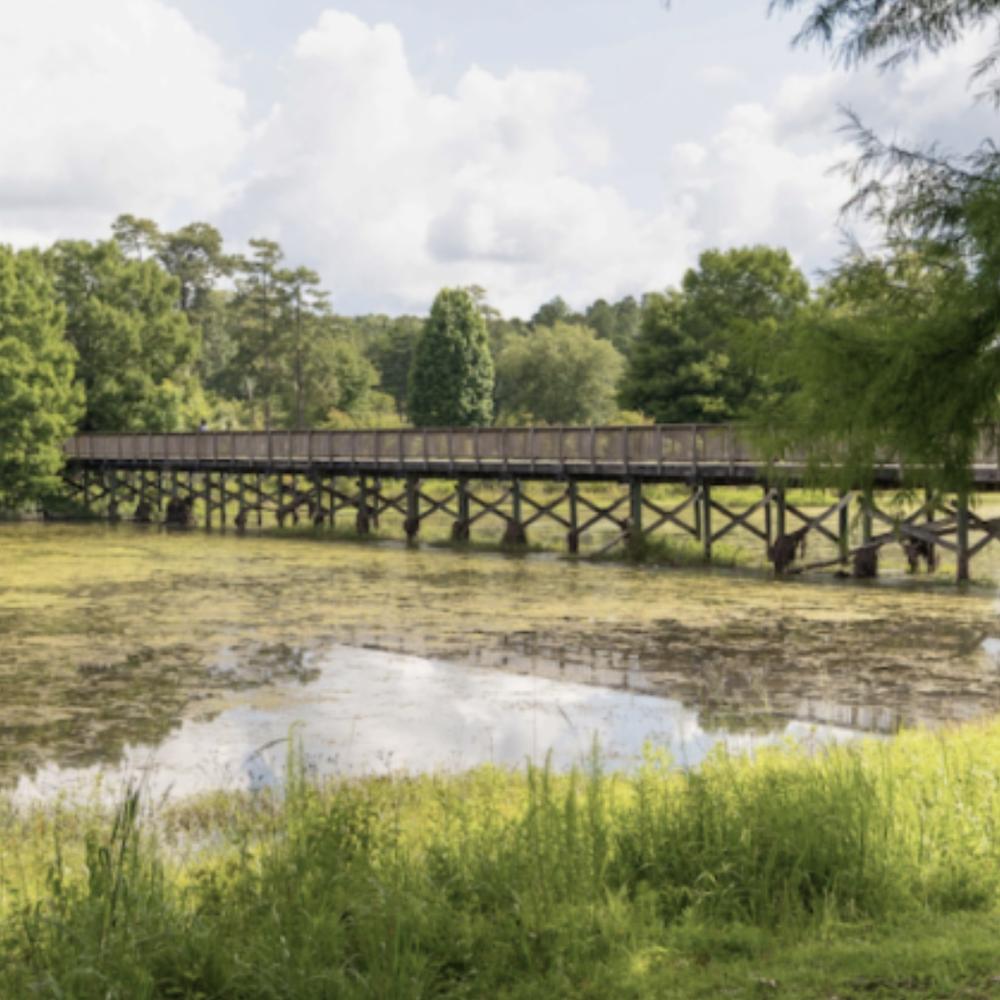 Mobile's Langan Park. Photo: Mayor Sandy Stimpson. Alabama News