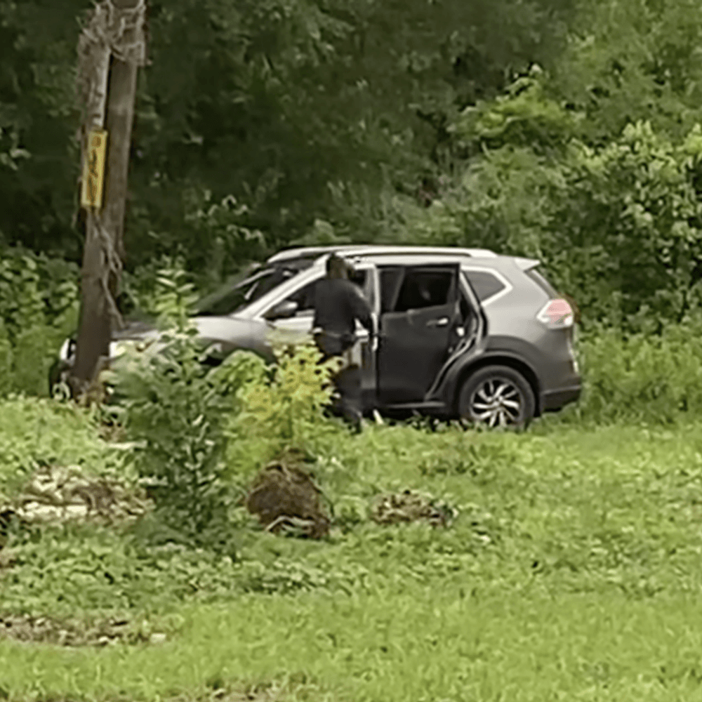 Domestic Violence arrest Alabama News