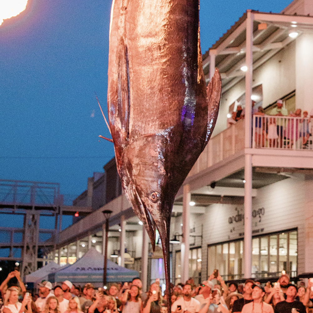 Blue Marlin Grand Championship Alabama News