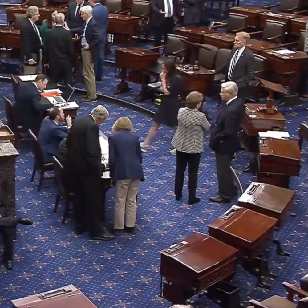 Senate Alabama News