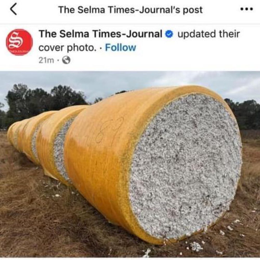 Selma Times Journal Alabama News