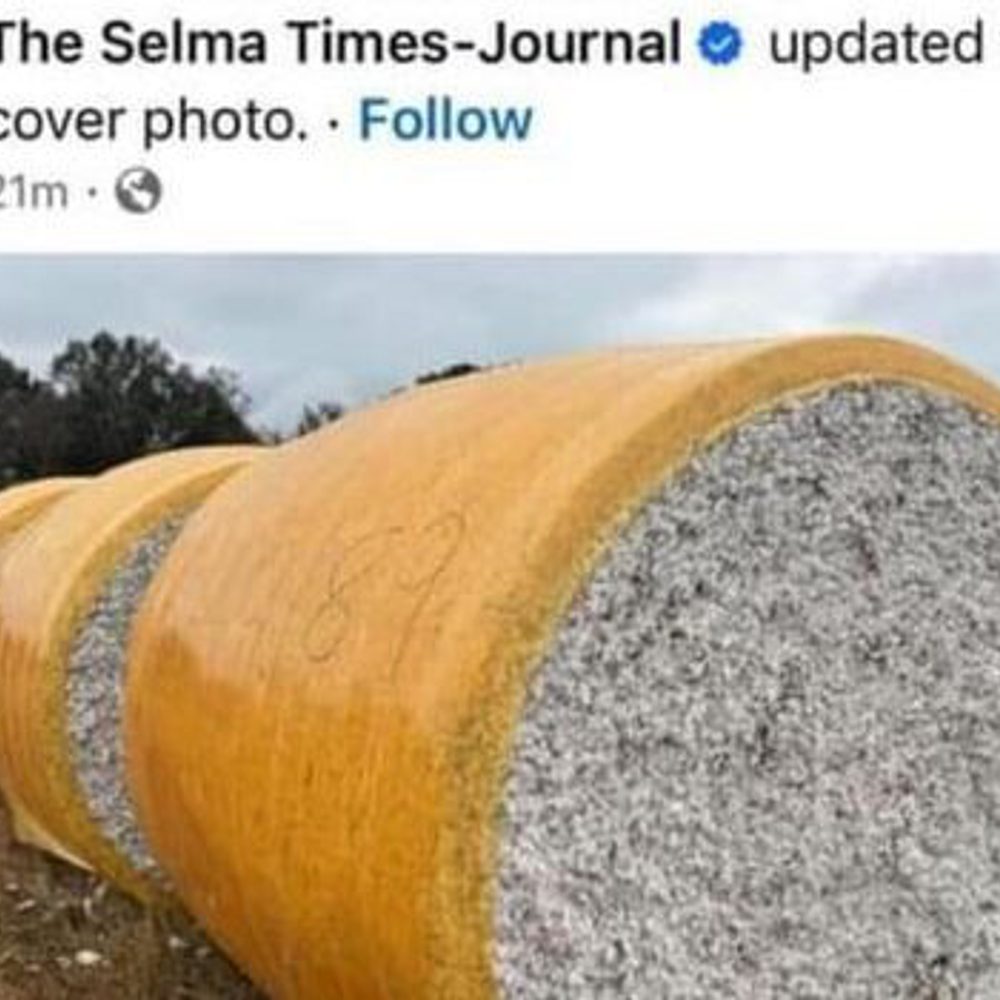 Selma Times Journal screenshot Alabama News