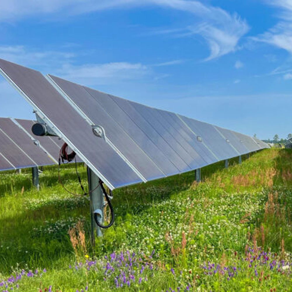 Solar farm Alabama News