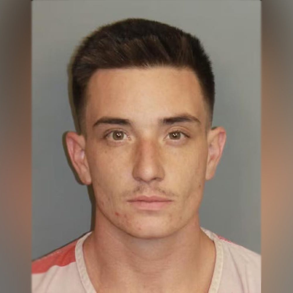 Steven Whitehead Alabama News