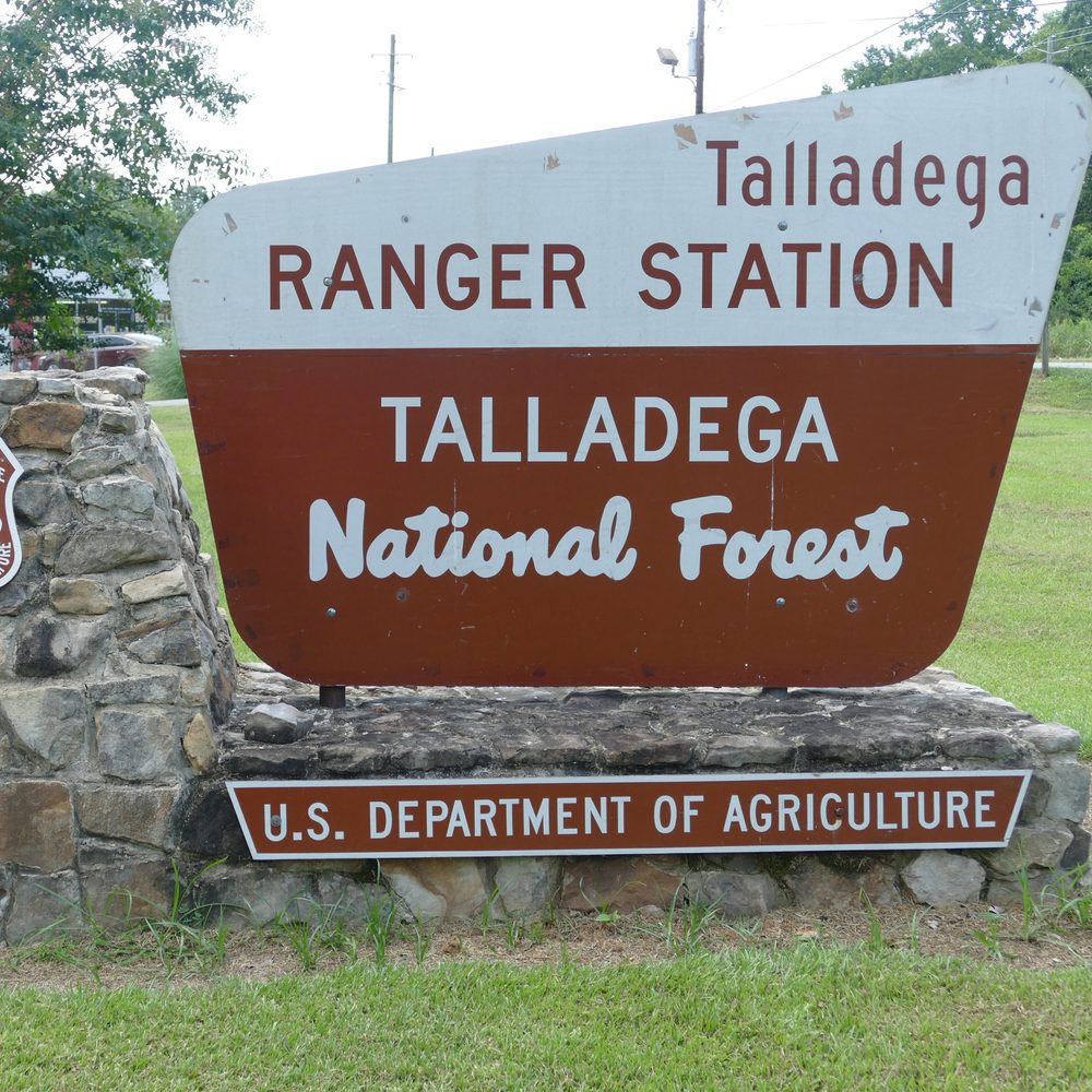 Talladega national forest Alabama News