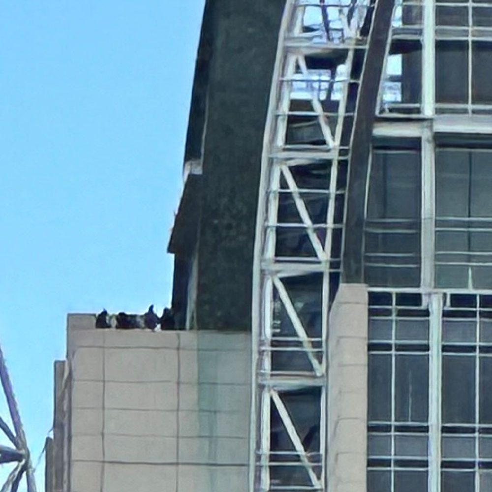 Tower 2 Alabama News
