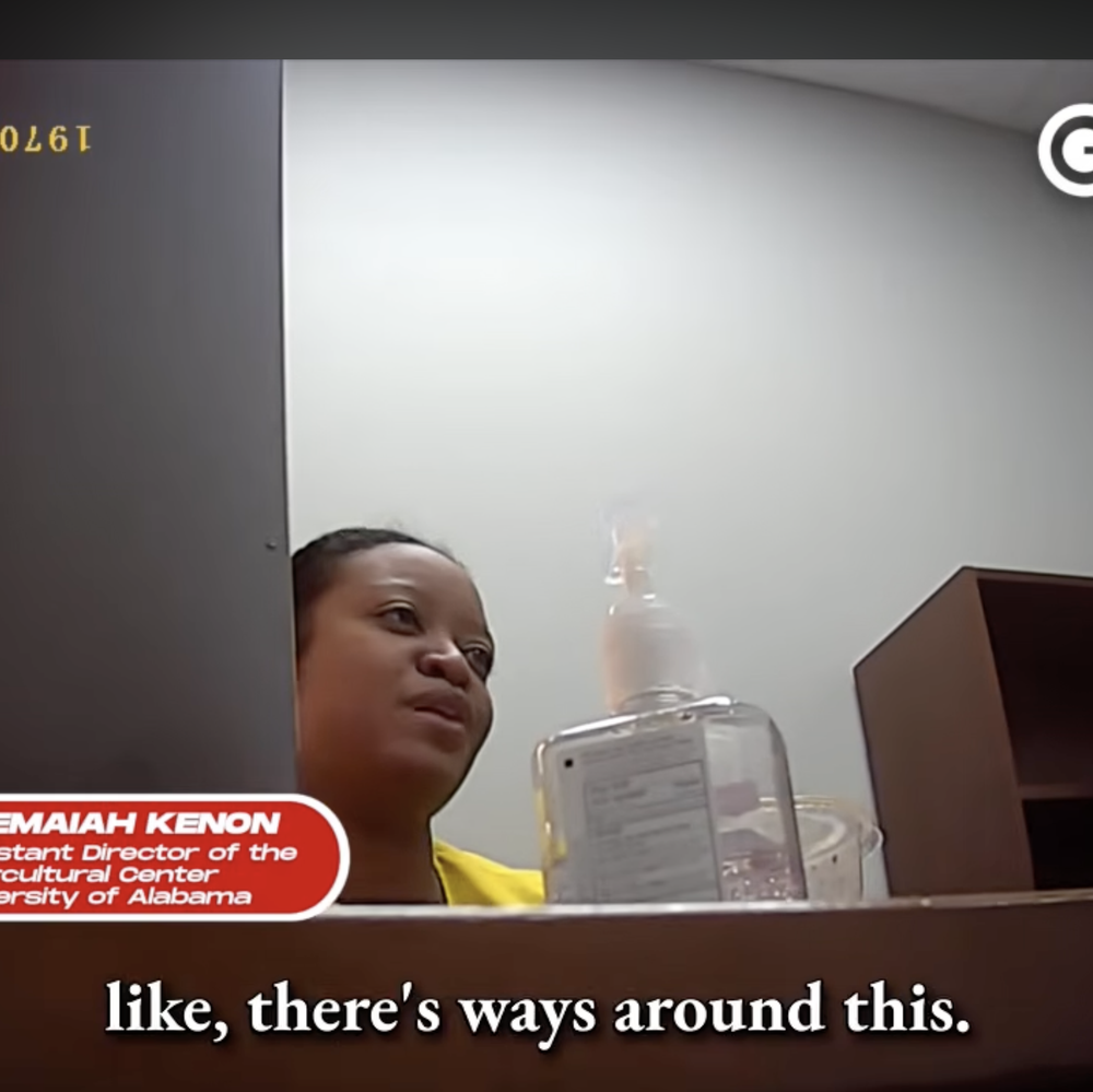 UA_HiddenCamera_DEI Alabama News