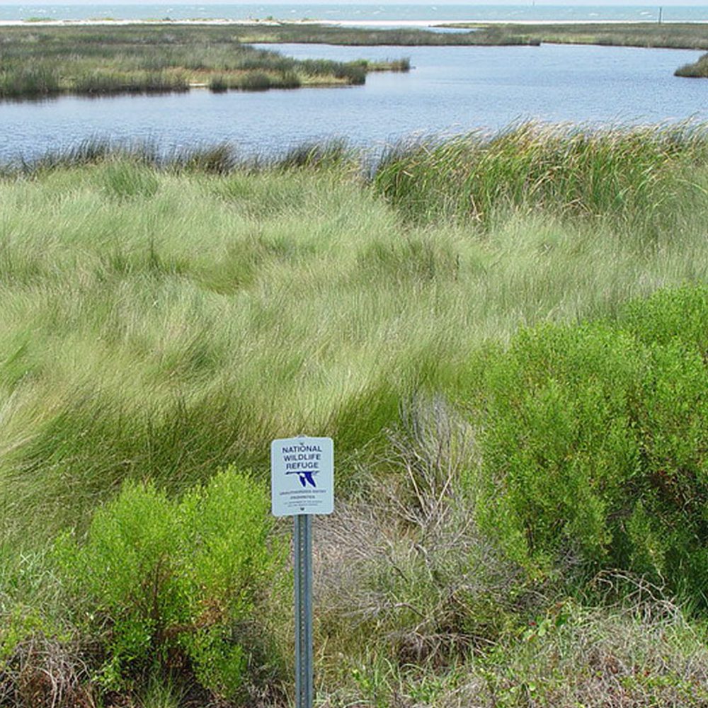US Fish Wildlife Alabama News