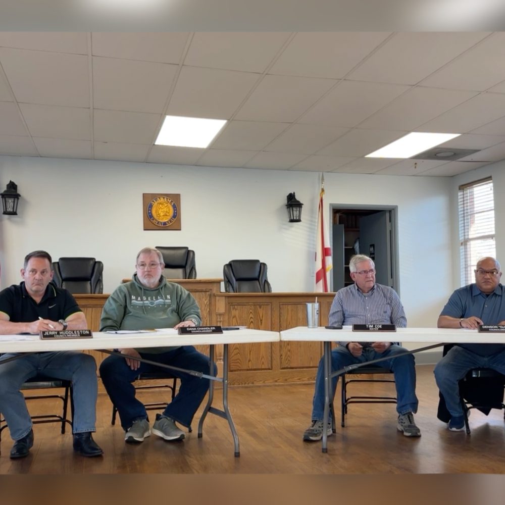 Wedowee City Council Alabama News