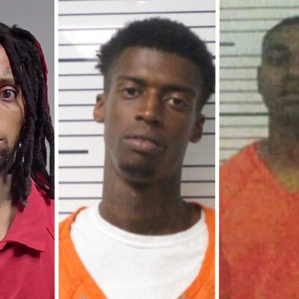 Wilcox County arrests Alabama News