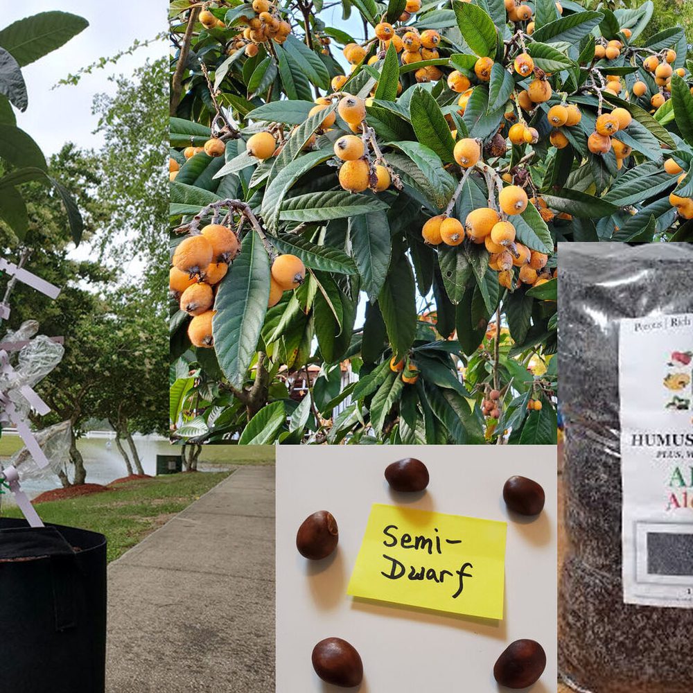 Akmegardens Alabama News