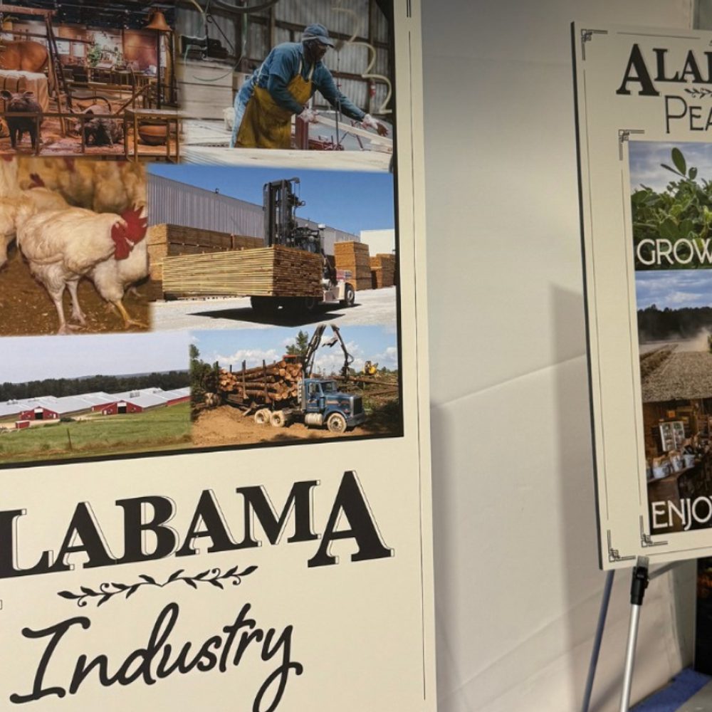 Alabama 250 Alabama News