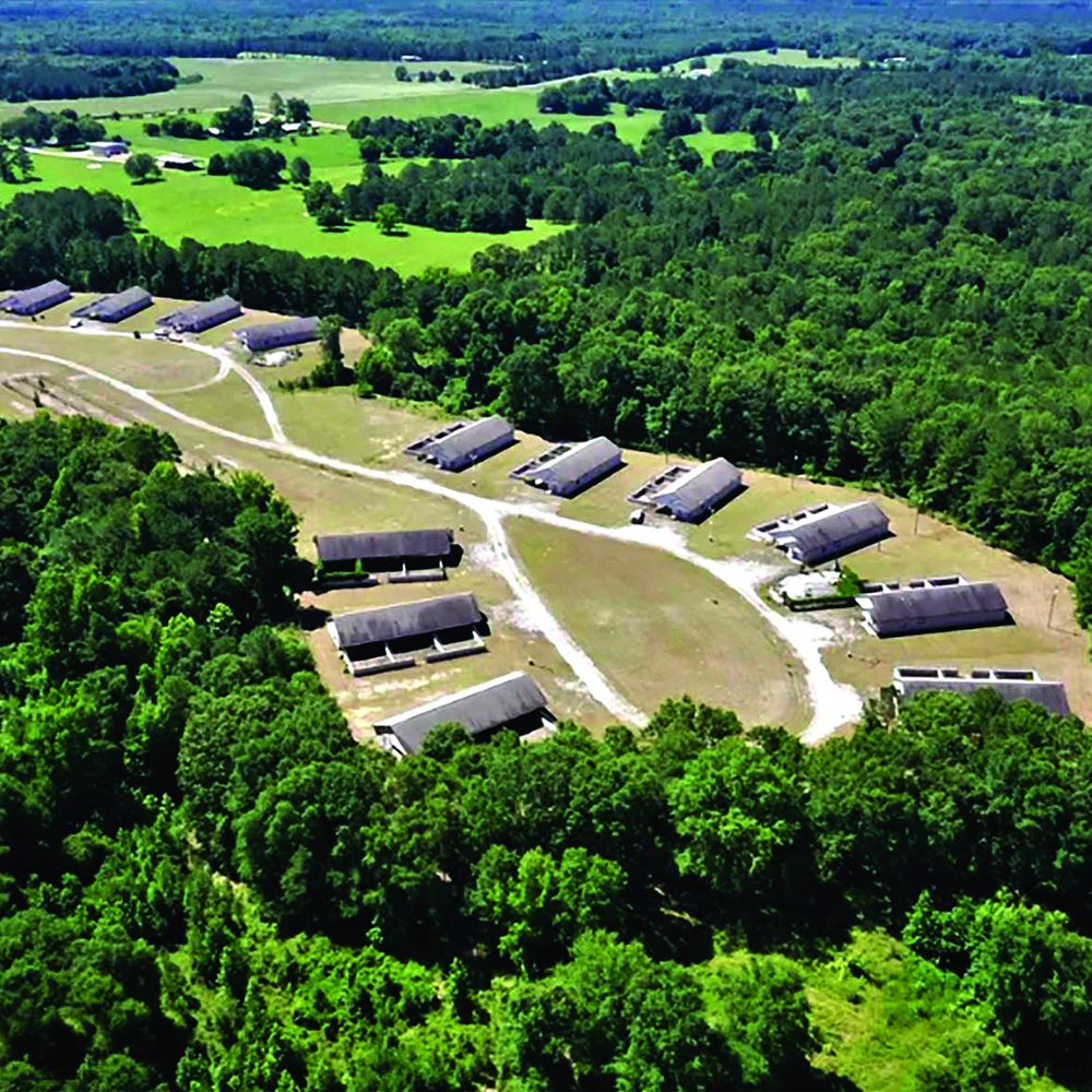 Dog Ranch Alabama News