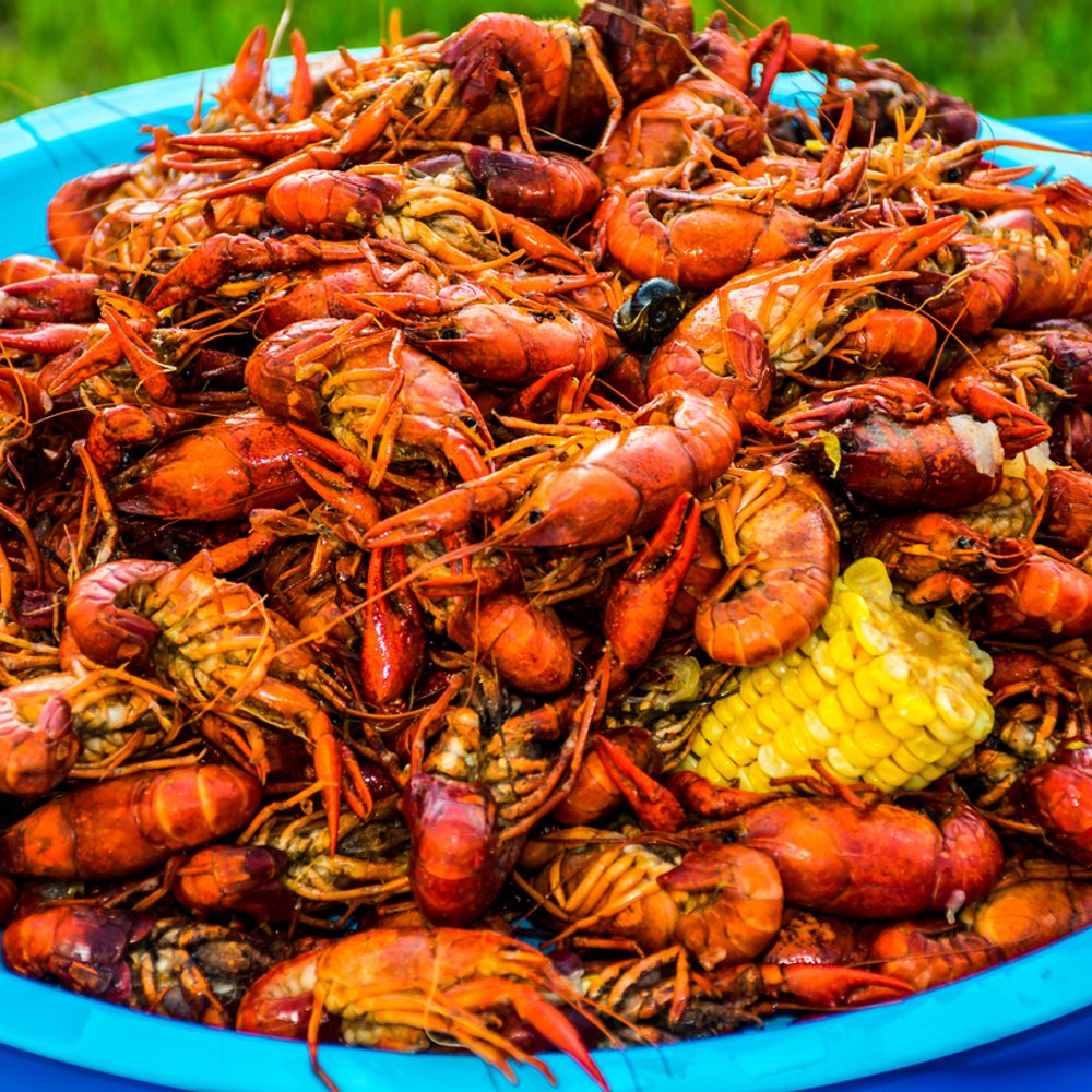 crawfish cook off Alabama News