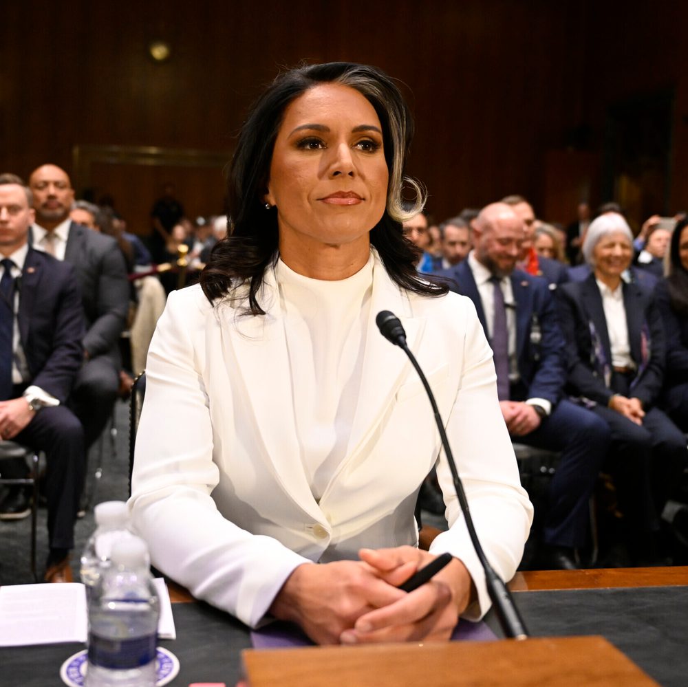 tulsi gabbard Alabama News