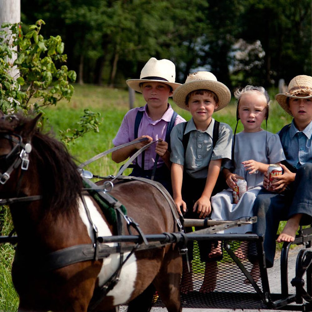 Alabama political news Amish Alabama News