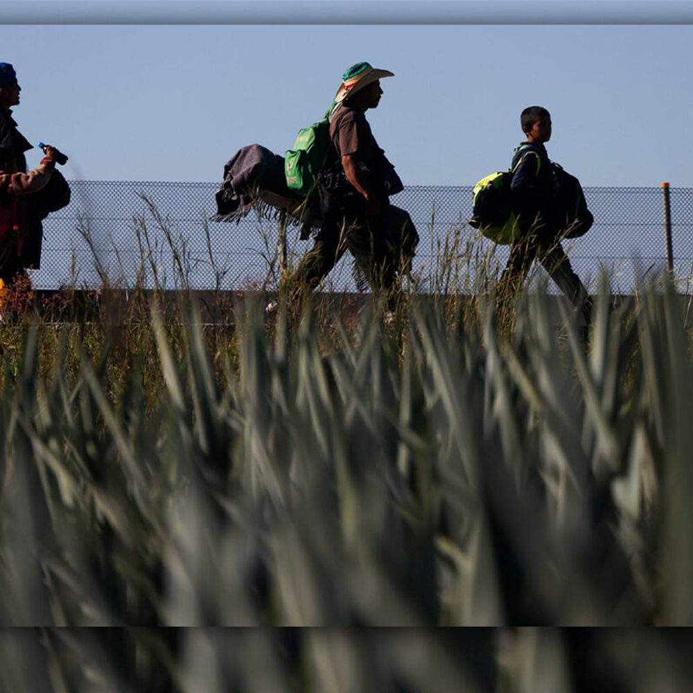 Migrants in the U S Photo AP Photo Marco Ugarte Alabama News