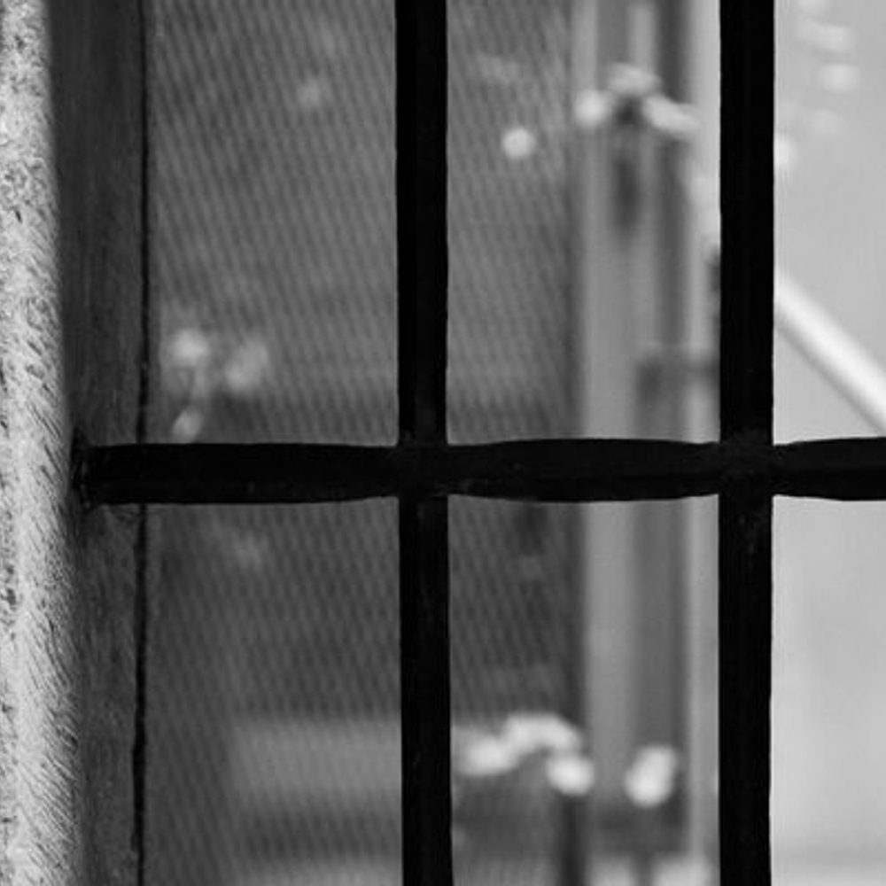 PRISON BARS BY Max Kleinen 2 Alabama News