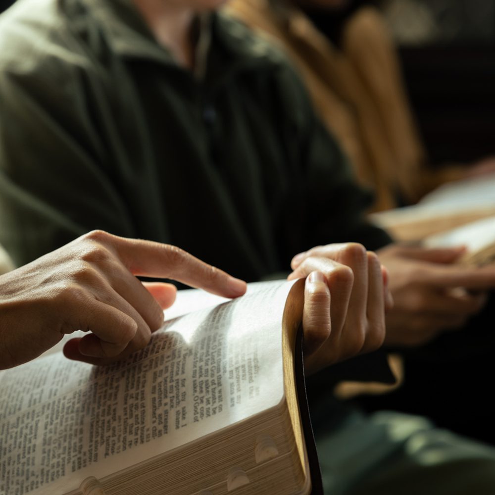 Alabama political news bible 2 Alabama News