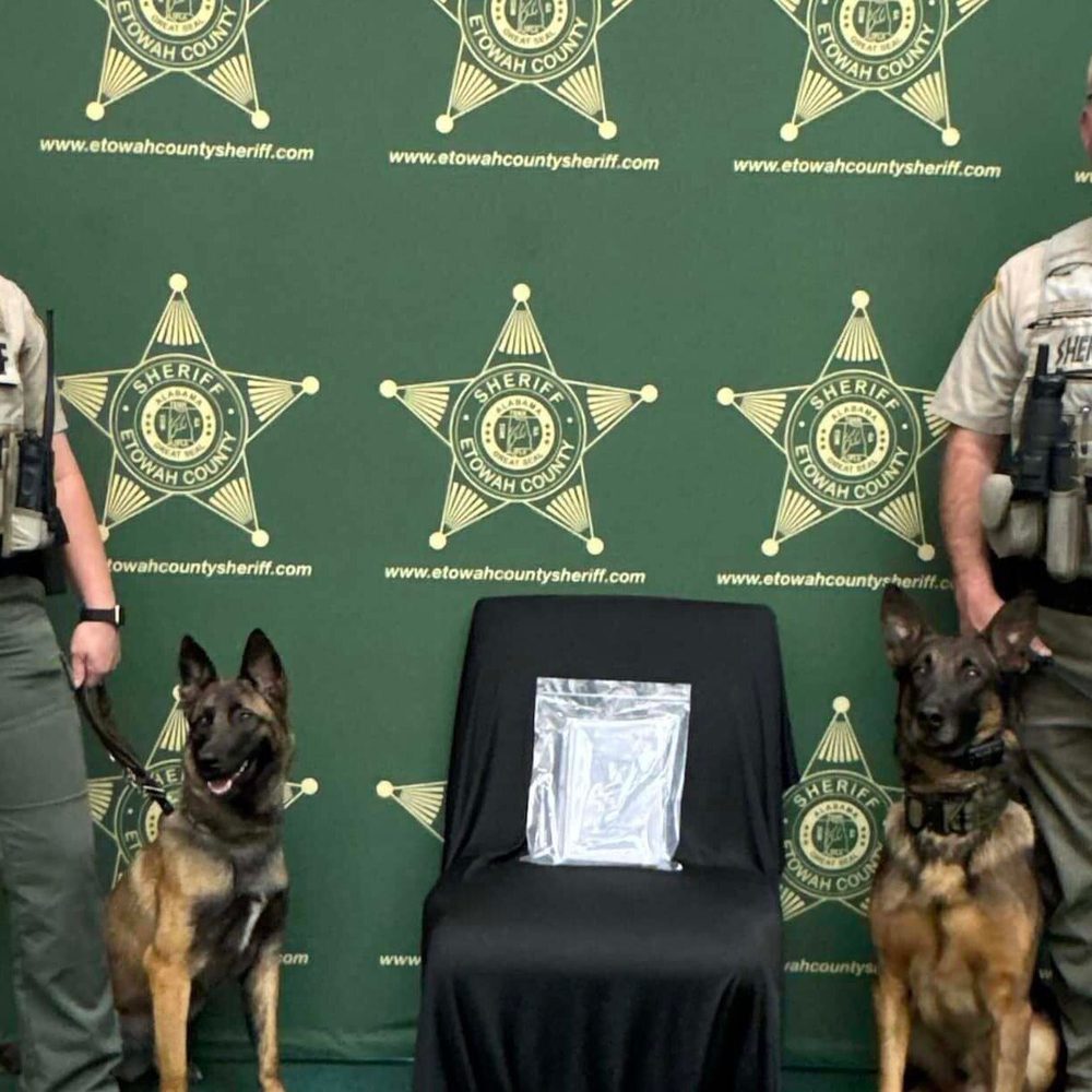 Etowah County Sheriff's Office. Alabama News