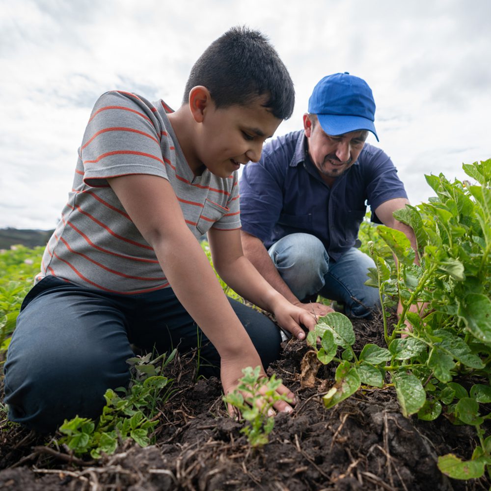 Alabama political news father son farm Alabama News