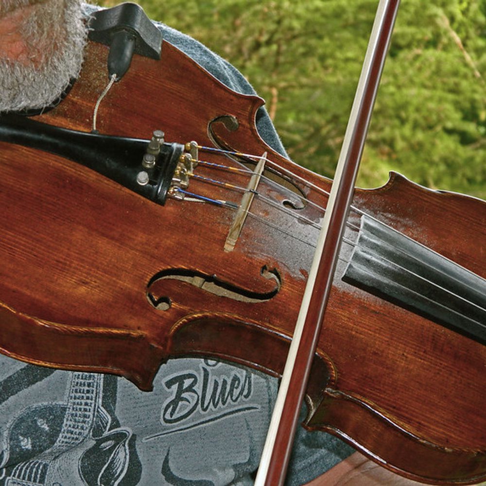 Alabama political news fiddle 2 Alabama News