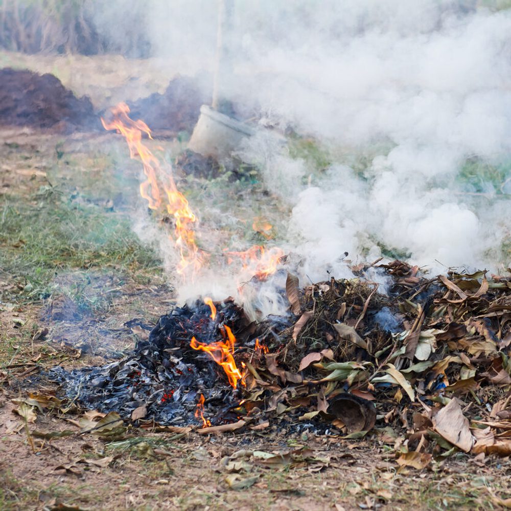 Fire Alabama News
