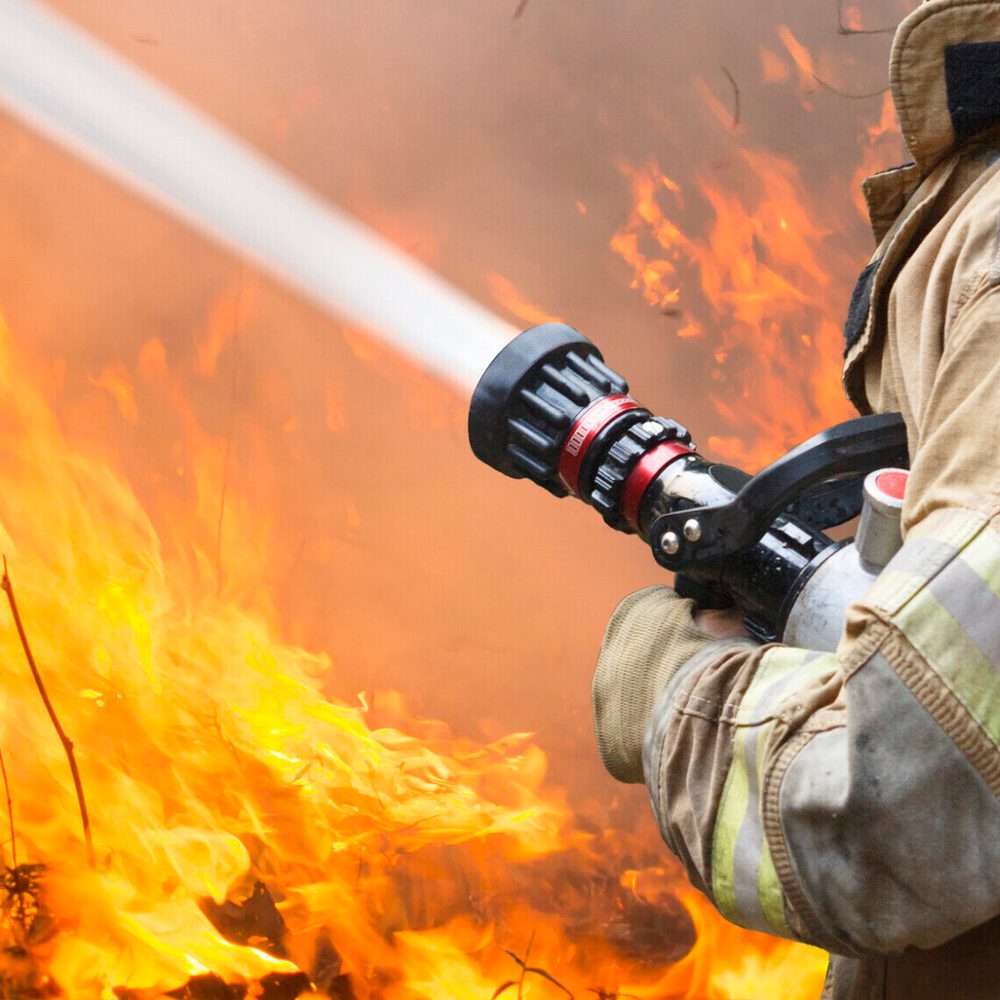 Fireman fire Alabama News