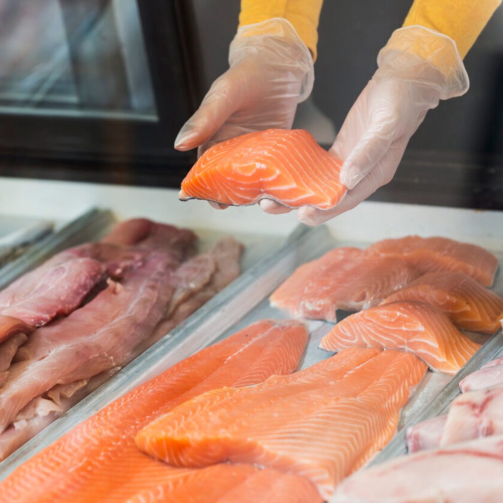 Fish Alabama News