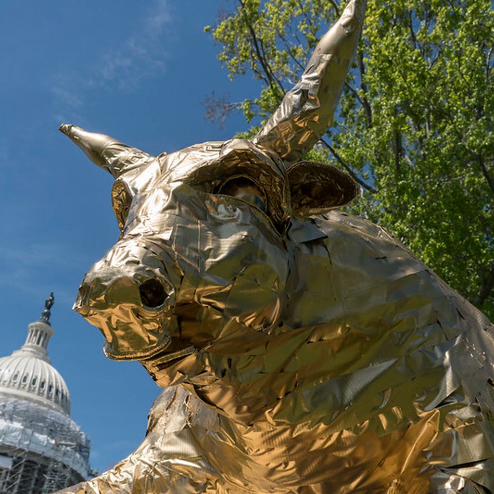 Alabama political news golden calf Alabama News