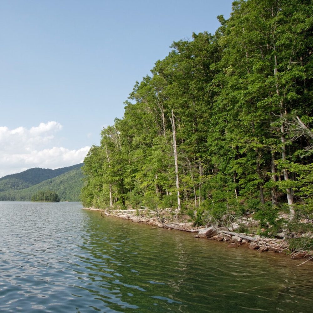 lake Alabama News