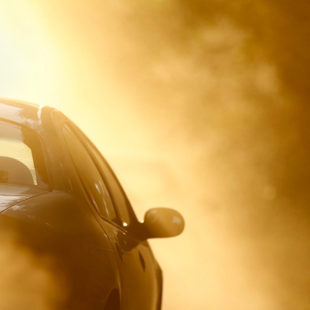 sunny hot car Alabama News