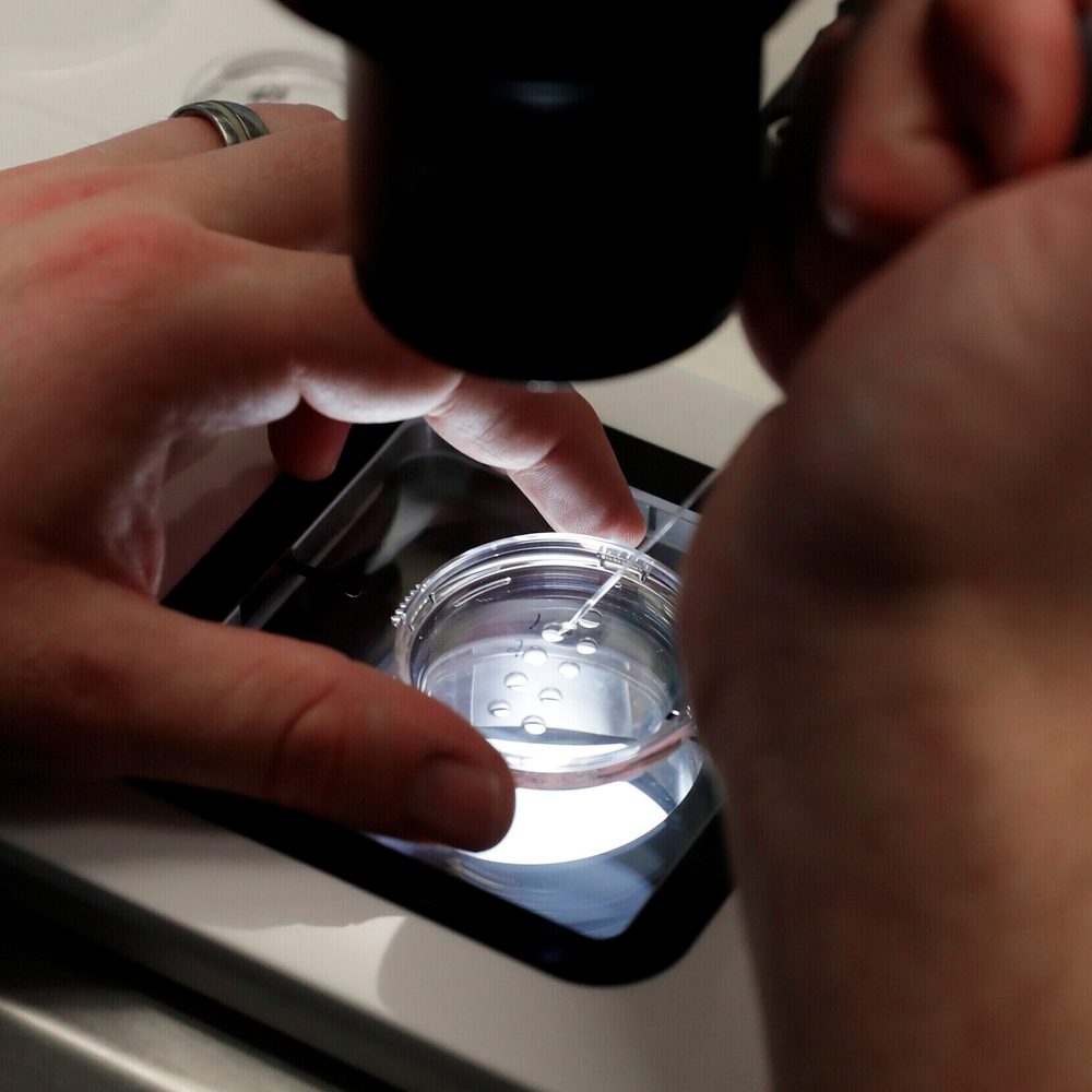 IVF, in-vitro fertilization Alabama News