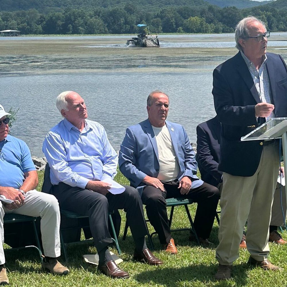 tva eel grass Alabama News