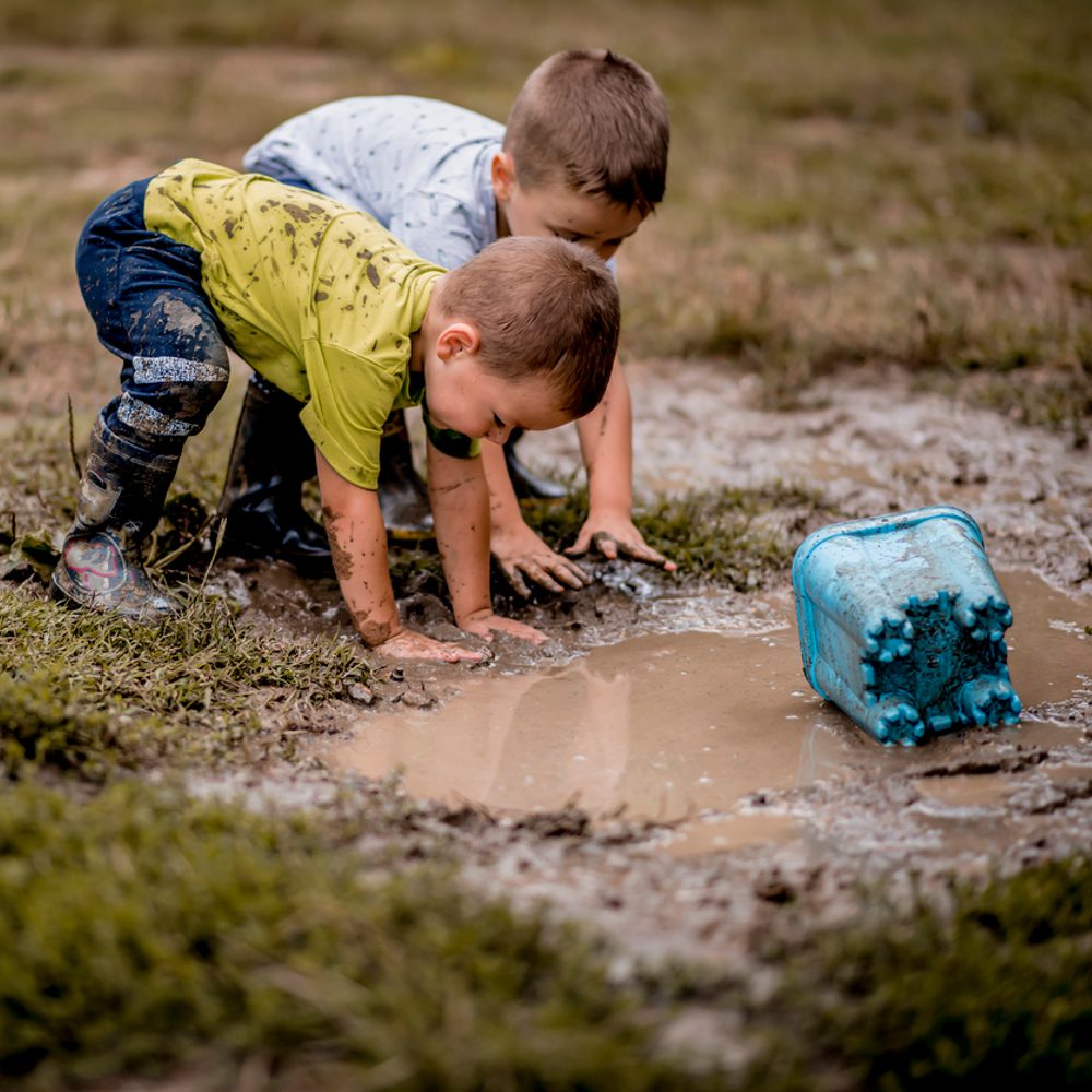 Alabama political news kids dirt Alabama News