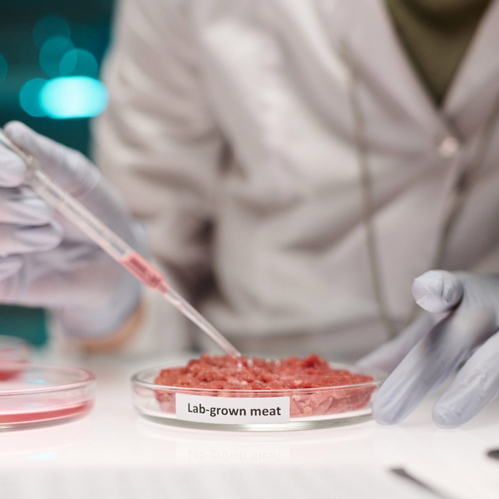 lab grown meat Alabama News