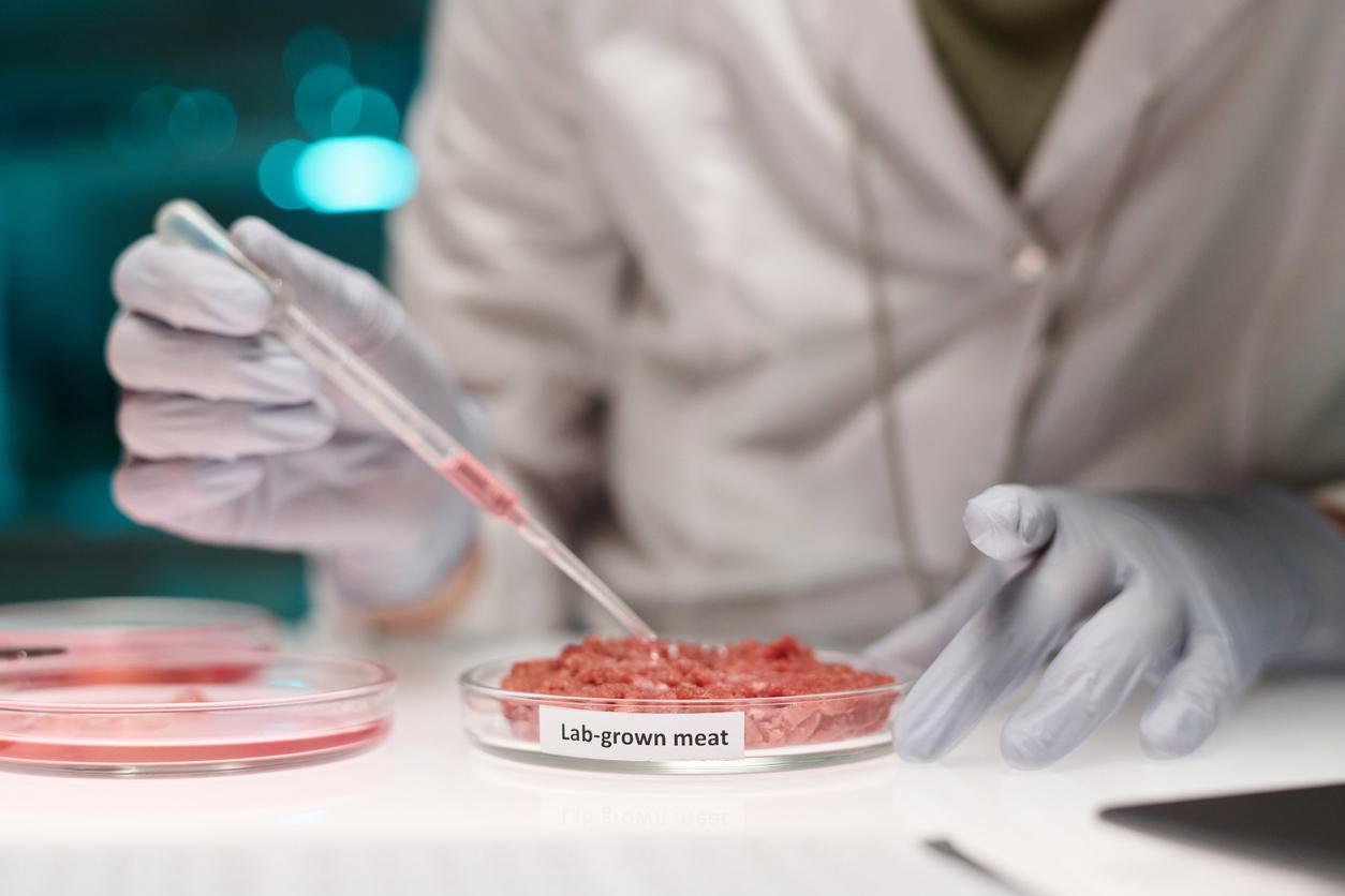 Lab Made Meet Alabama bans lab-grown meat: 'Take your fake meat elsewhere'