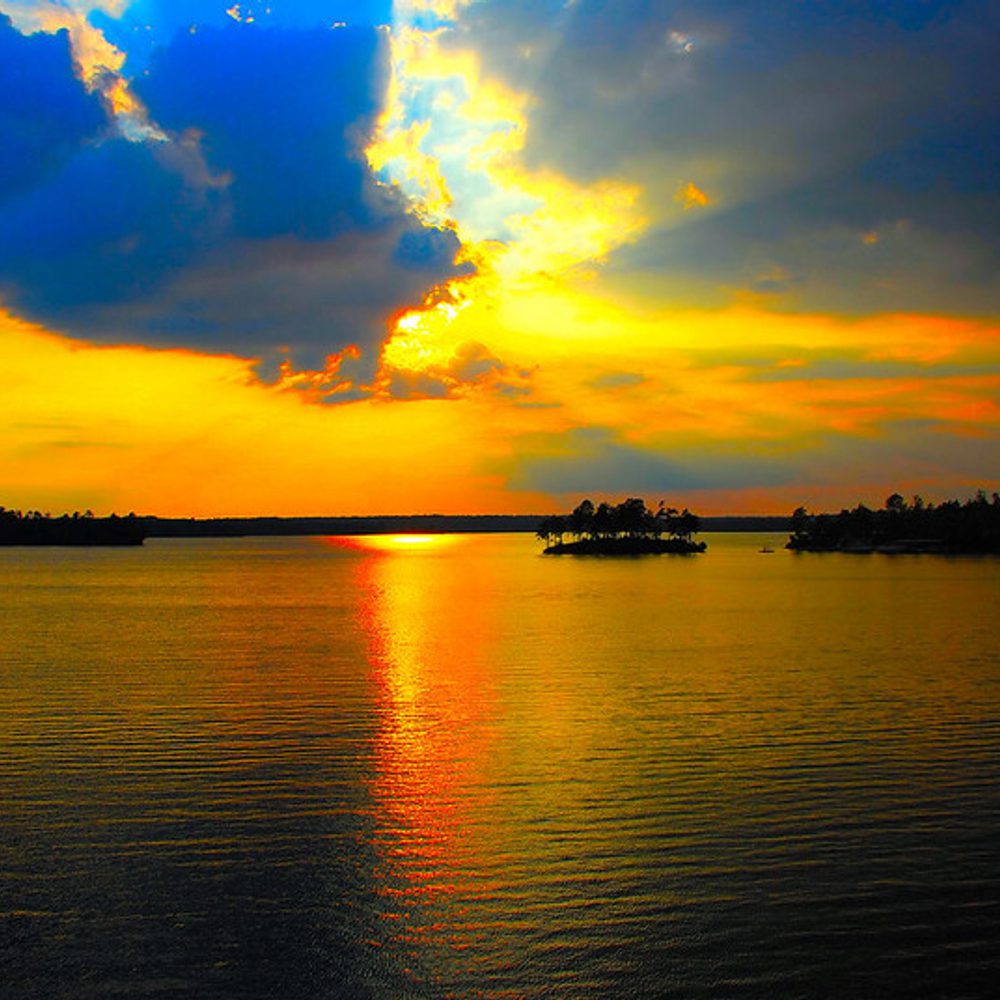 Alabama political news lake martin Alabama News