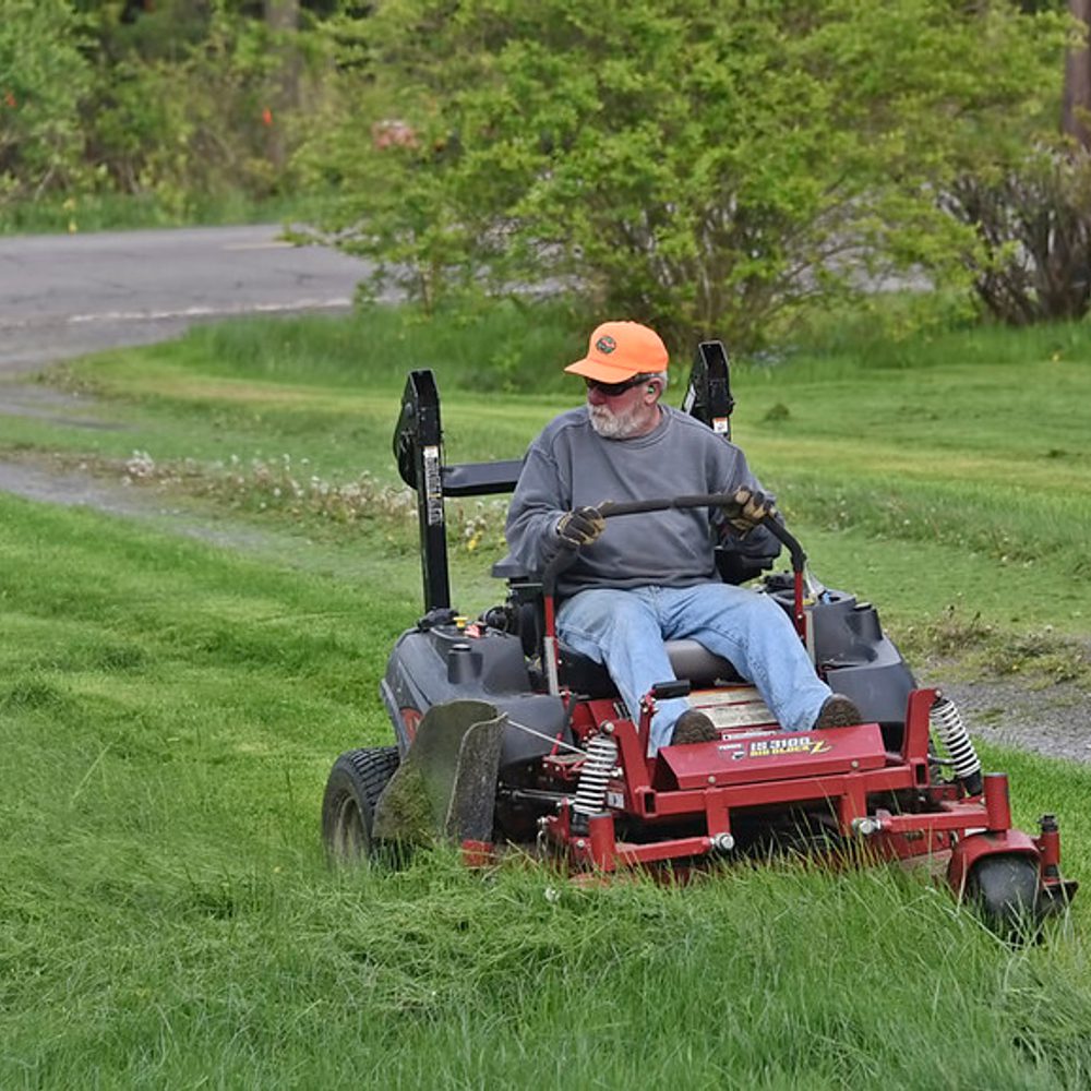 Alabama political news lawnmower Alabama News