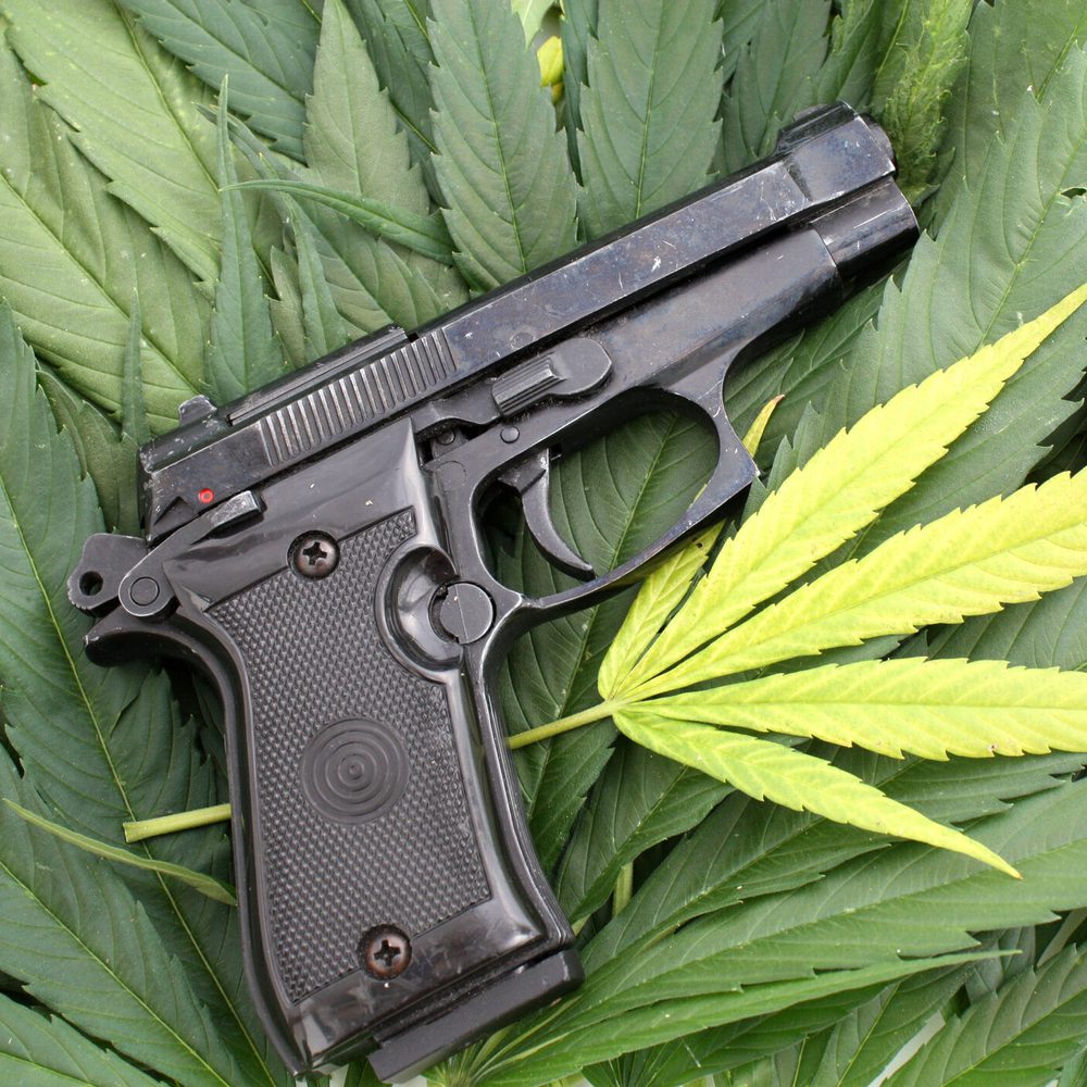 Pot leaf with Gun Alabama News