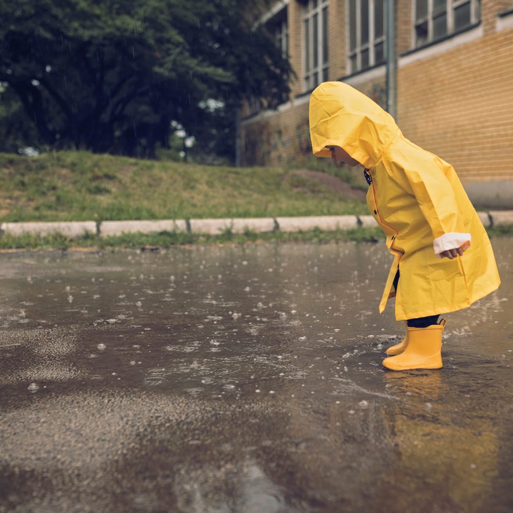Alabama political news raincoat Alabama News