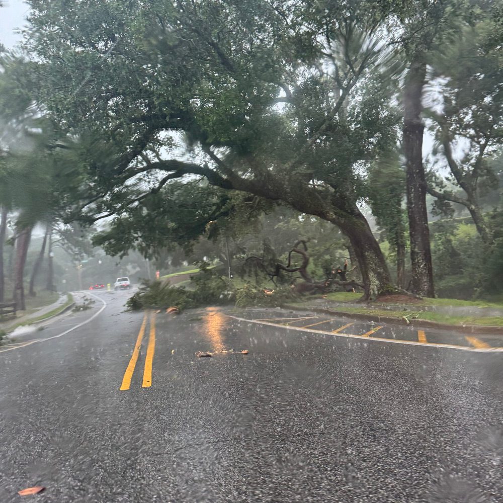 Alabama political news storm damage Alabama News