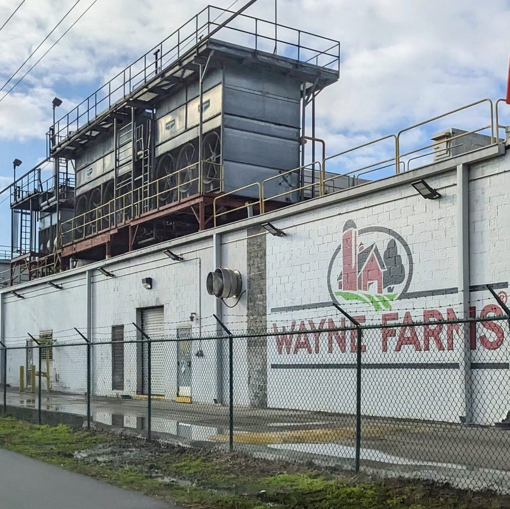 wayne farms Alabama News