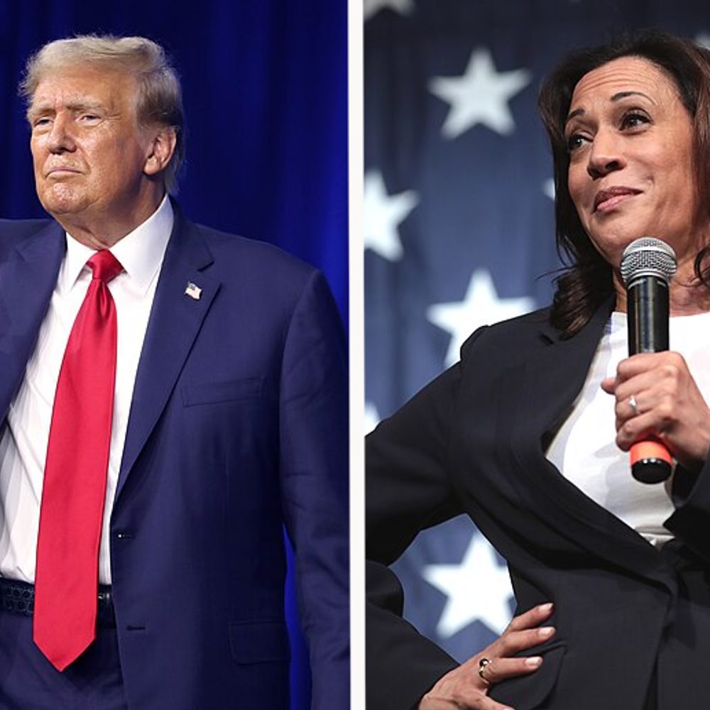 donald trump kamala harris Alabama News