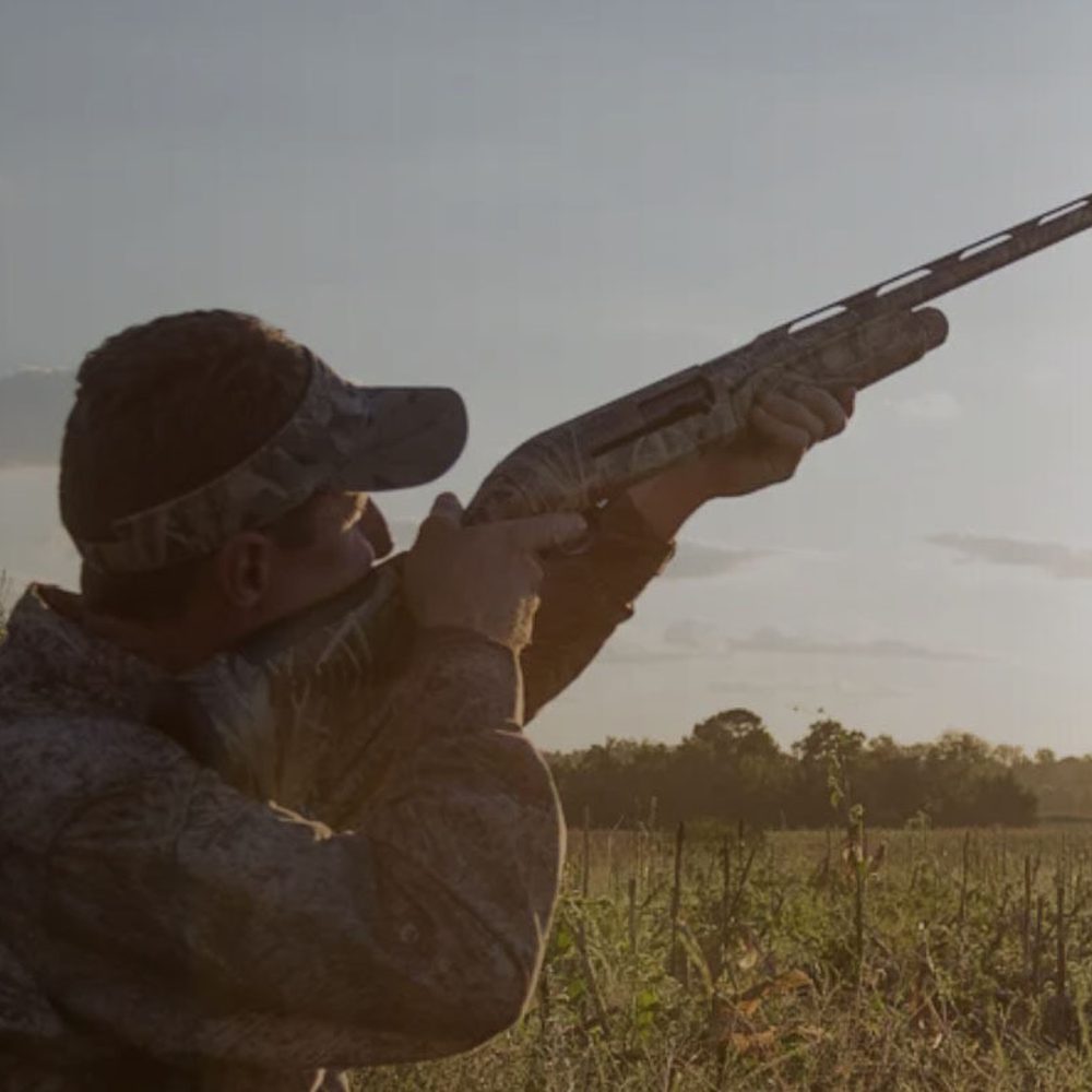 Dove Hunting Alabama News