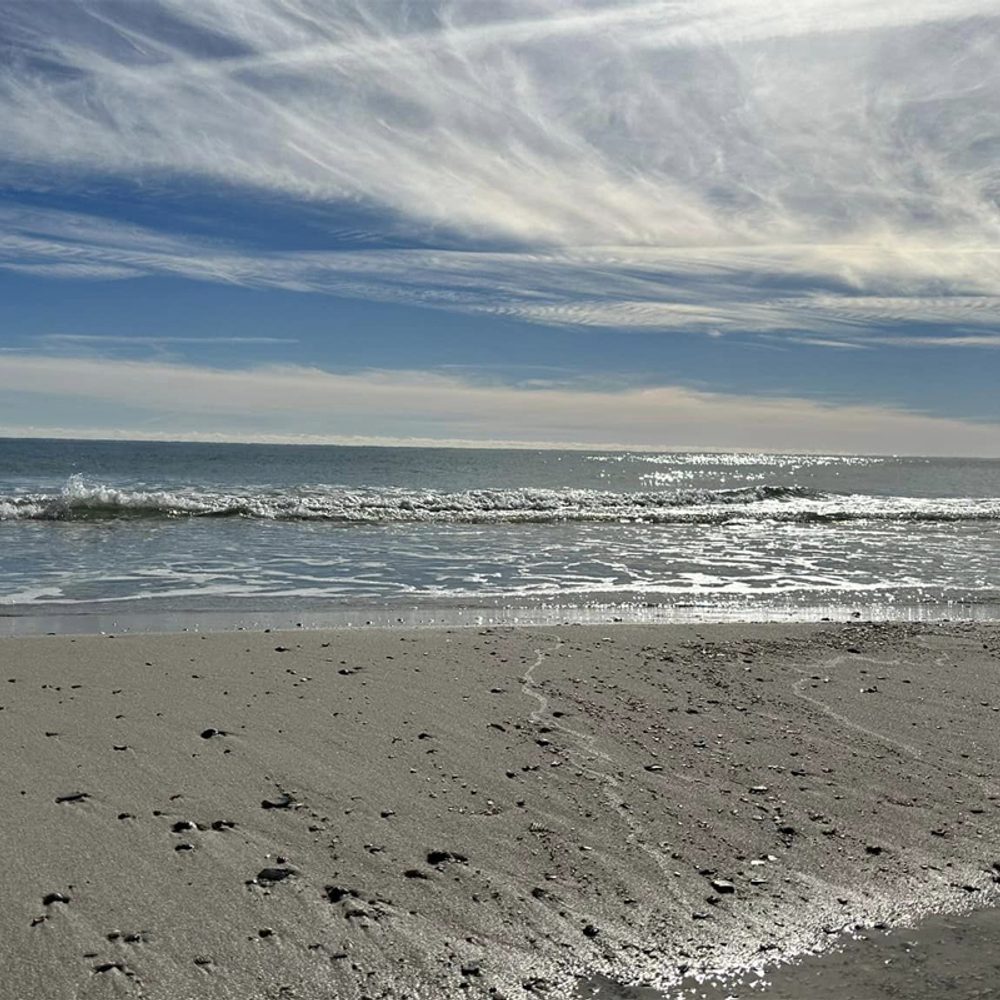 Gulf Shores Alabama News