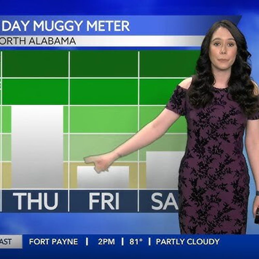 Amberkulick Alabama News