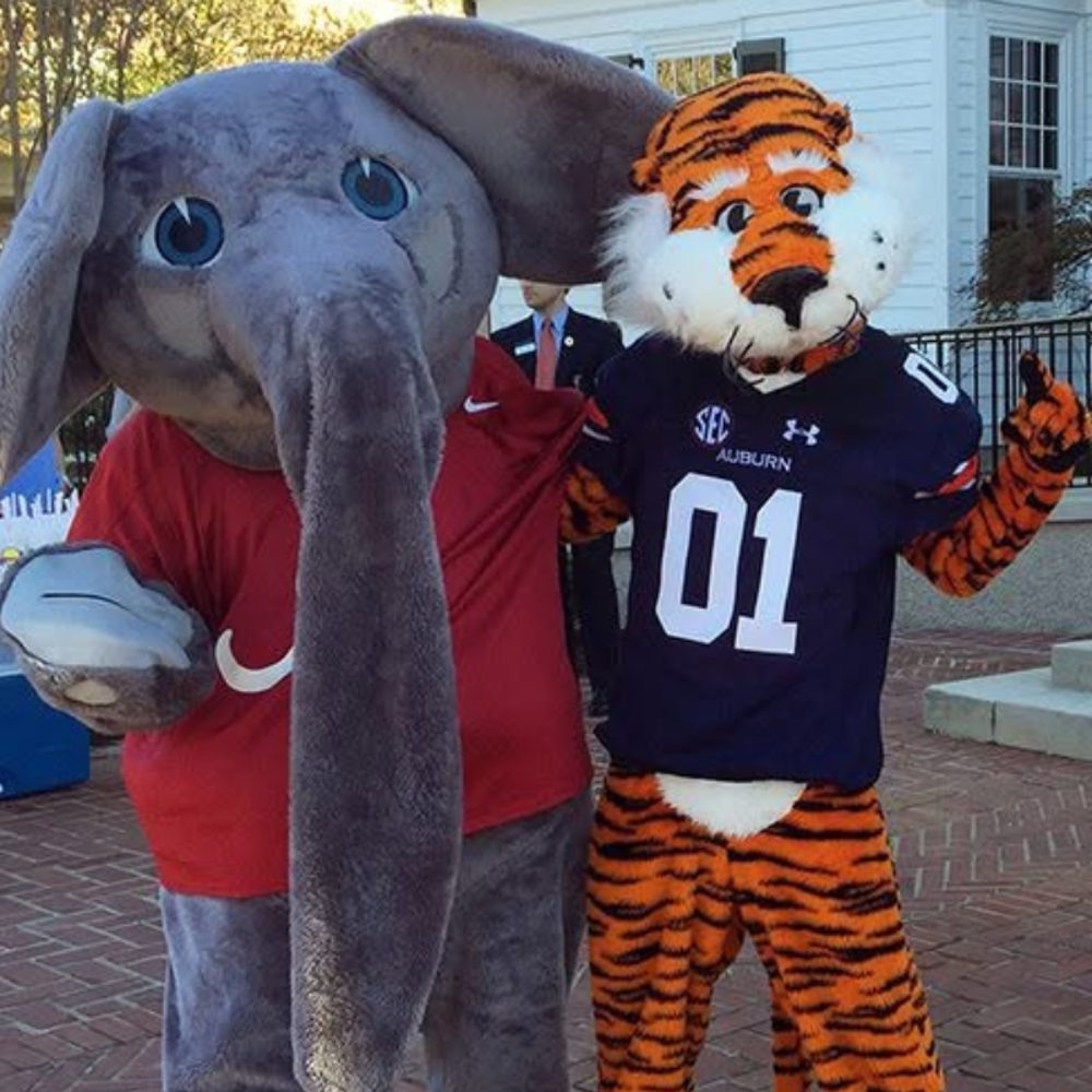 Aubie big al Alabama News